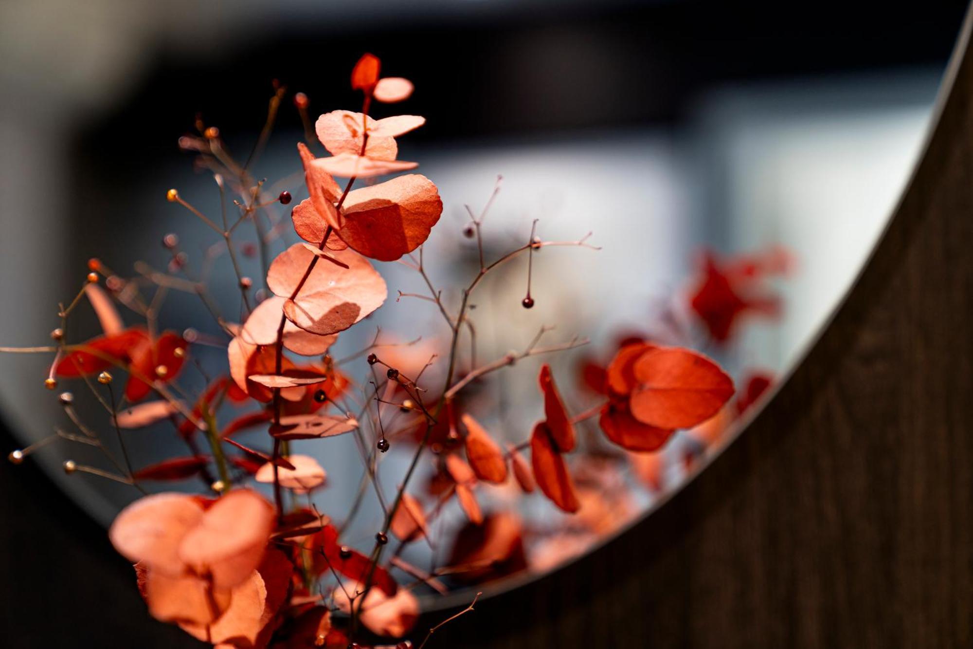 De La Paix Tour Eiffel Hotel 3*